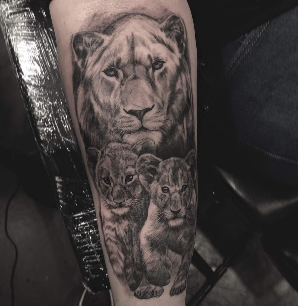 lion tattoo