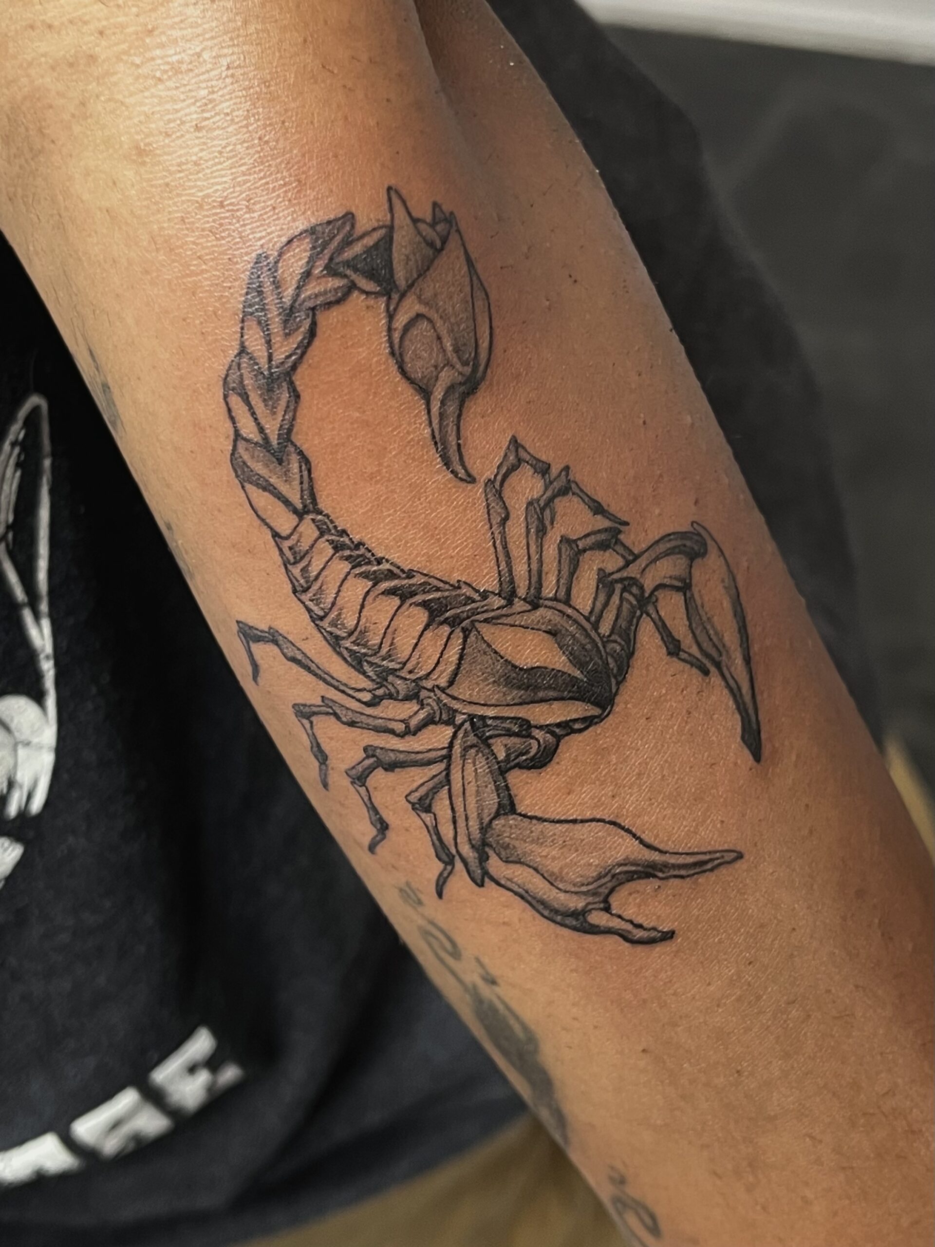 Scorpion