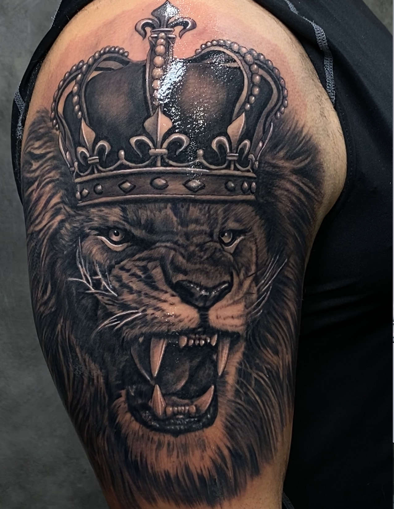 king lion