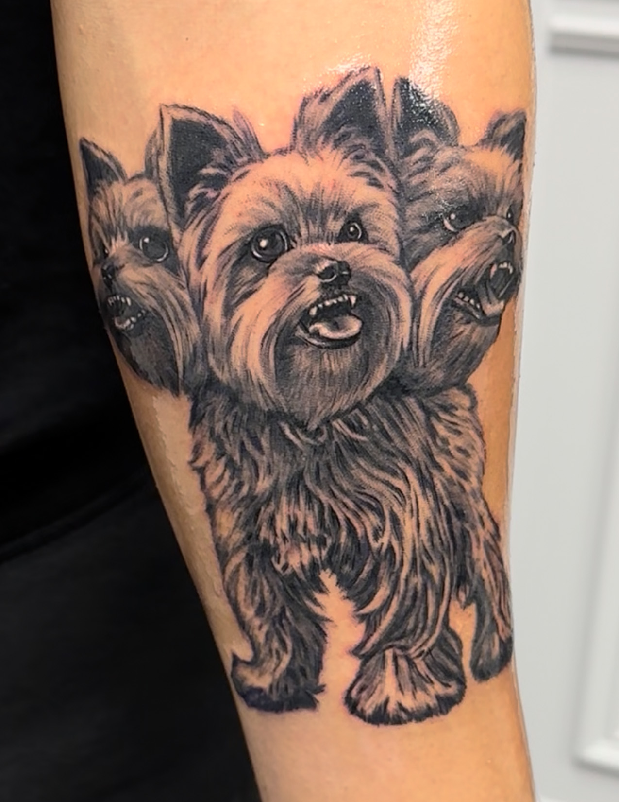 dog tattoo